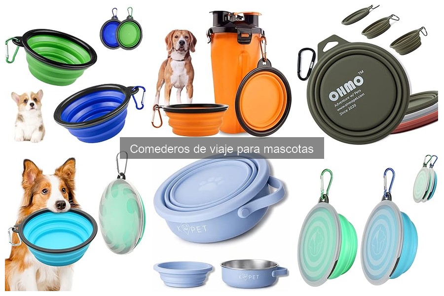 Mejor material para comederos de viaje: plástico, acero o silicona