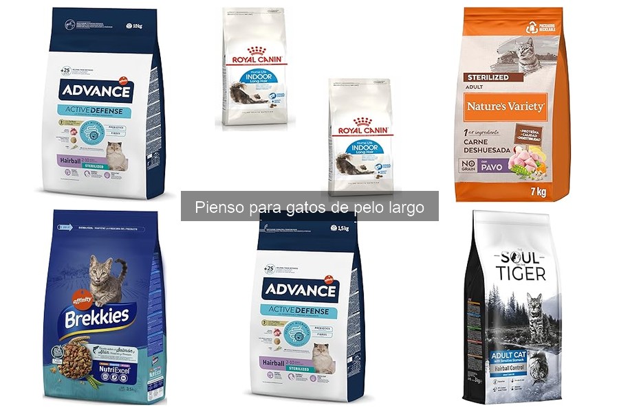 Mejores alimentos adicionales para gatos de pelo largo