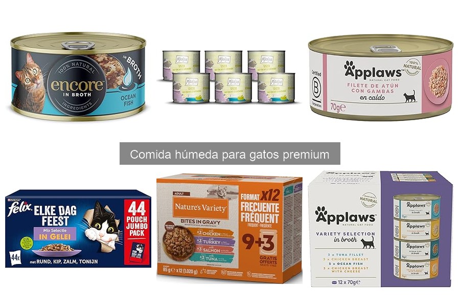 Mejores alimentos húmedos para gatos premium en 2023
