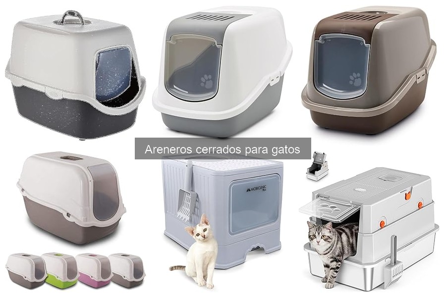 Mejores areneros cerrados para gatos: Comparativa 2023