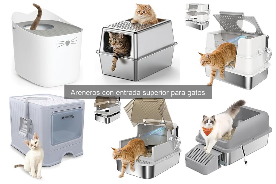 Mejores areneros con entrada superior para gatos en 2023