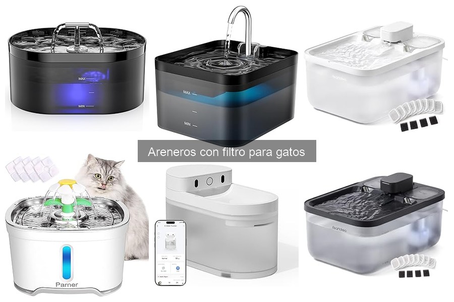 Mejores areneros con filtro para gatos en 2023