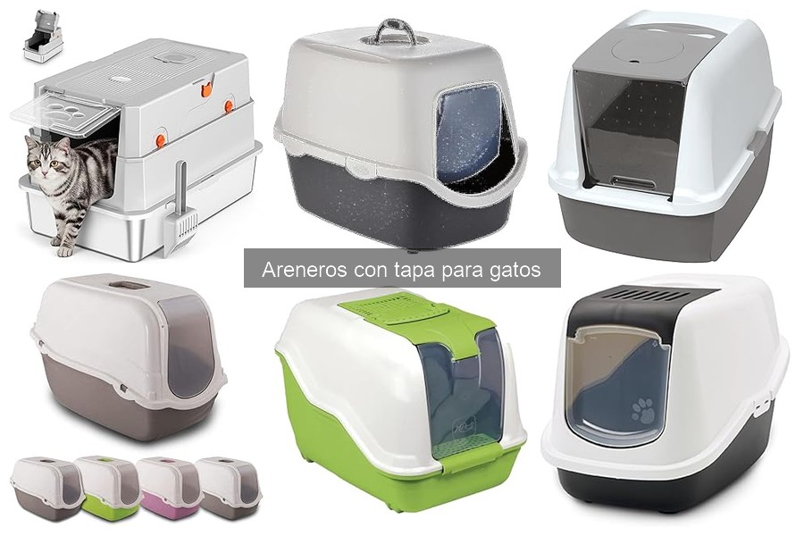 Mejores areneros con tapa para gatos: comparativa 2023