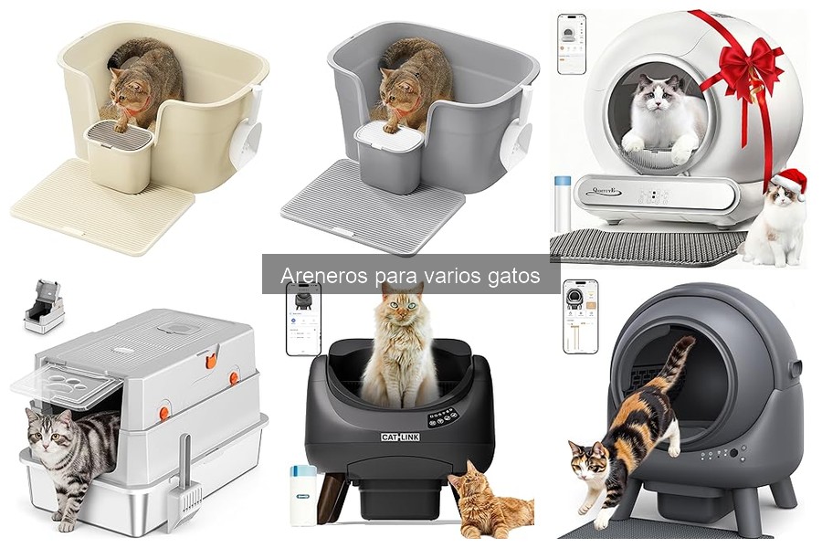 Mejores areneros para casas con varios gatos: comparativa 2023