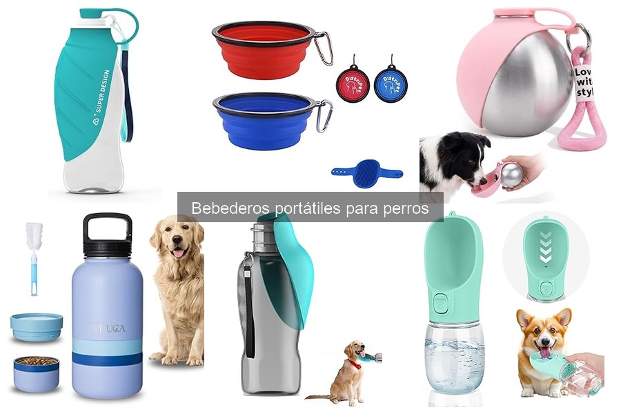 Mejores bebederos portátiles para perros en 2023