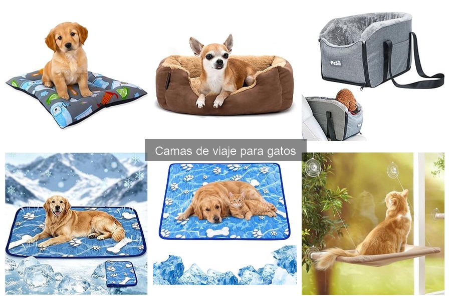 Mejores camas de viaje para gatos en 2023: comparativa