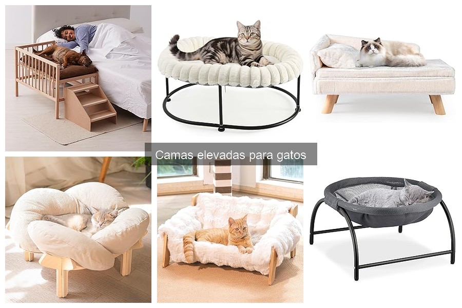 Mejores camas elevadas para gatos en 2023: comparativa y recomendaciones