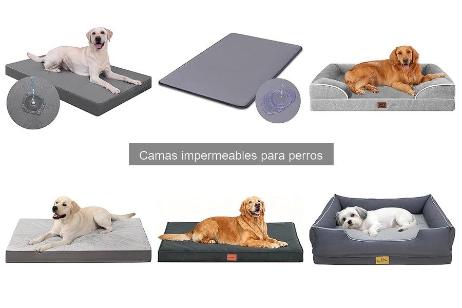 Mejores camas impermeables para perros: reseñas de marcas
