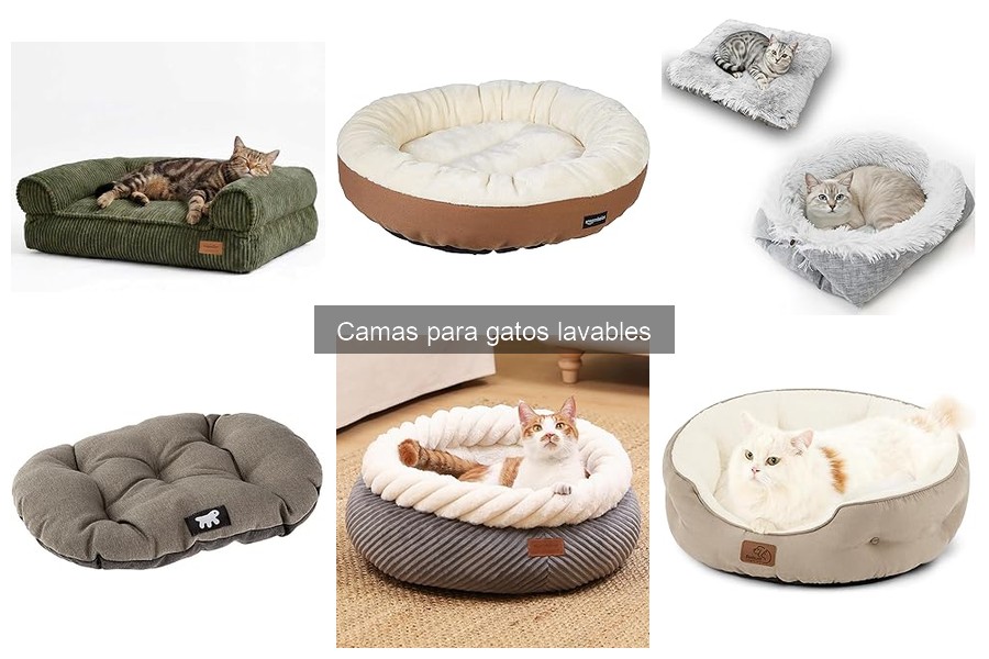 Mejores camas lavables para gatos en 2023: Comparativa