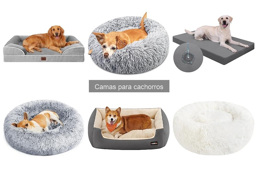 Mejores camas para cachorros: características y consejos