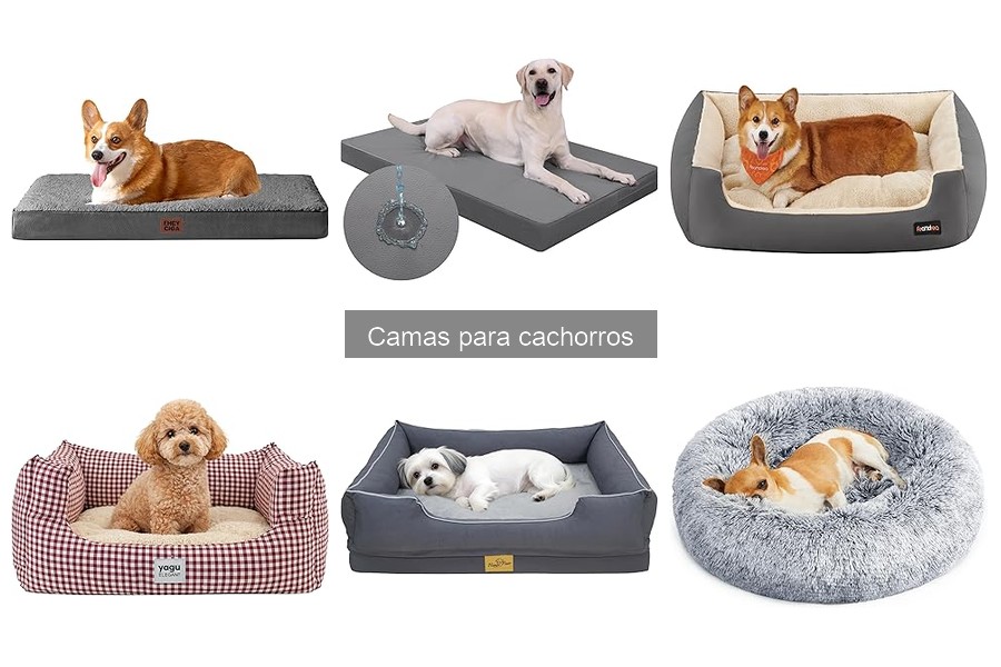 Mejores camas para cachorros en invierno: comparativa 2023