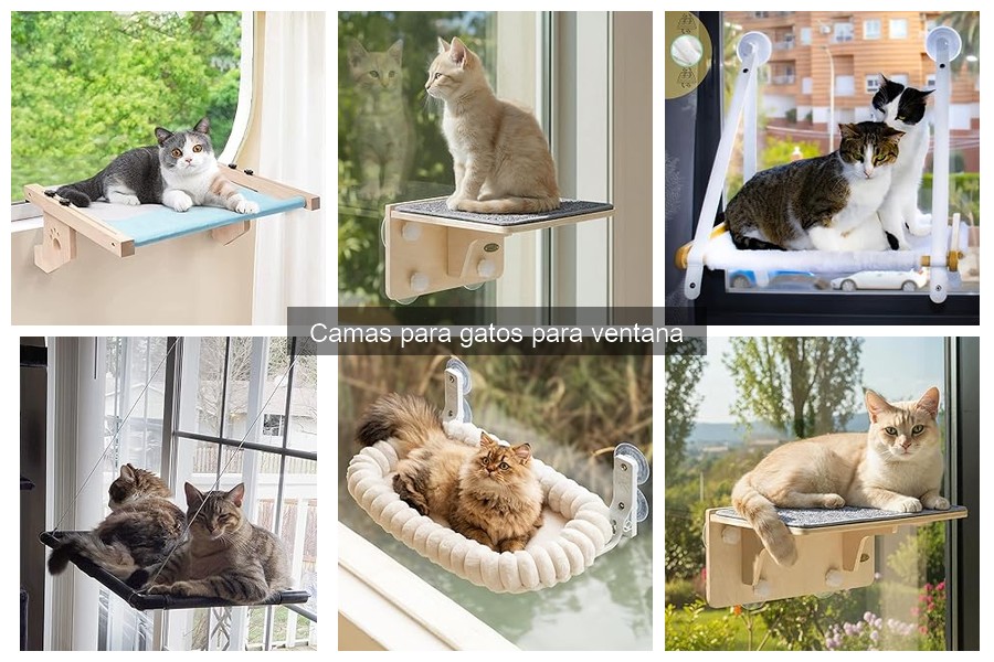 Mejores camas para gatos de ventana en oferta