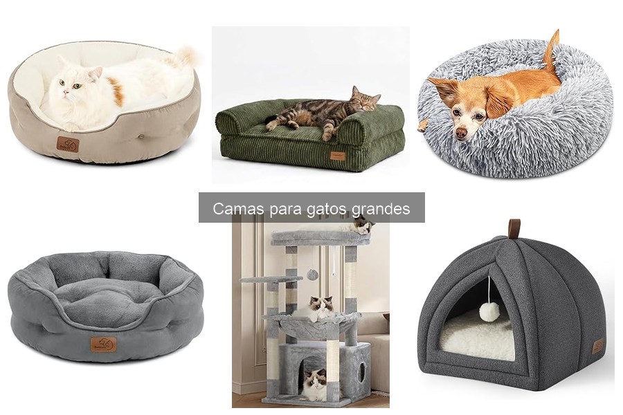 Mejores camas para gatos grandes según el clima