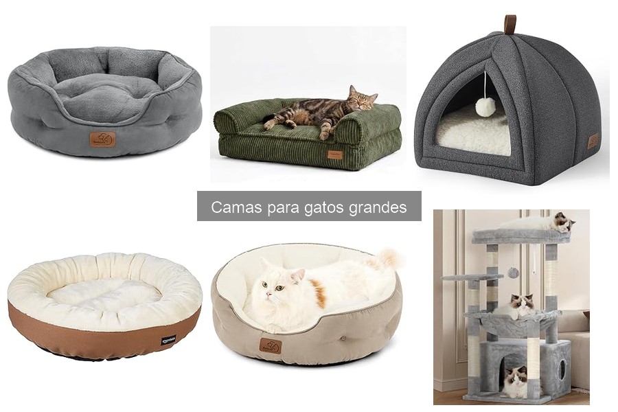 Mejores camas para gatos grandes según opiniones de usuarios