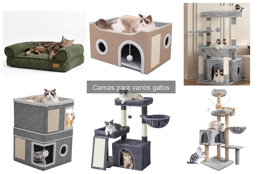 Mejores camas para gatos que se pelean: guía de compra