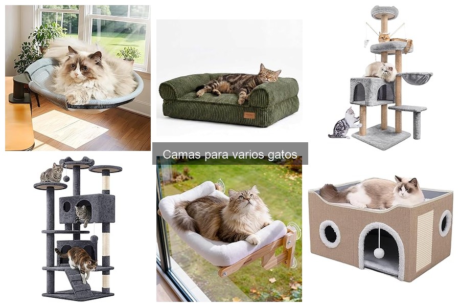 Mejores camas para gatos según reseñas de usuarios