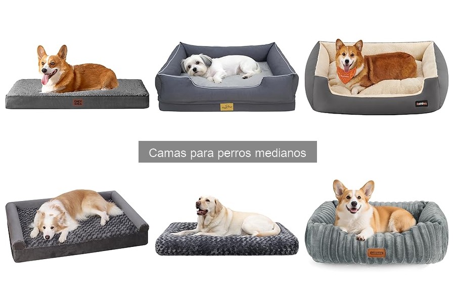 Mejores camas para perros medianos: comodidad y calidad