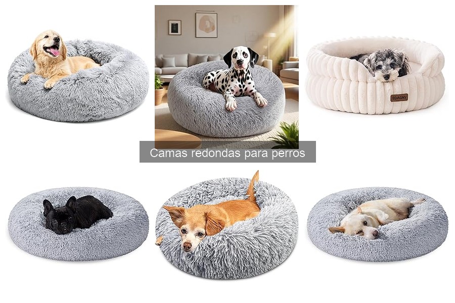 Mejores camas redondas para perros en 2023