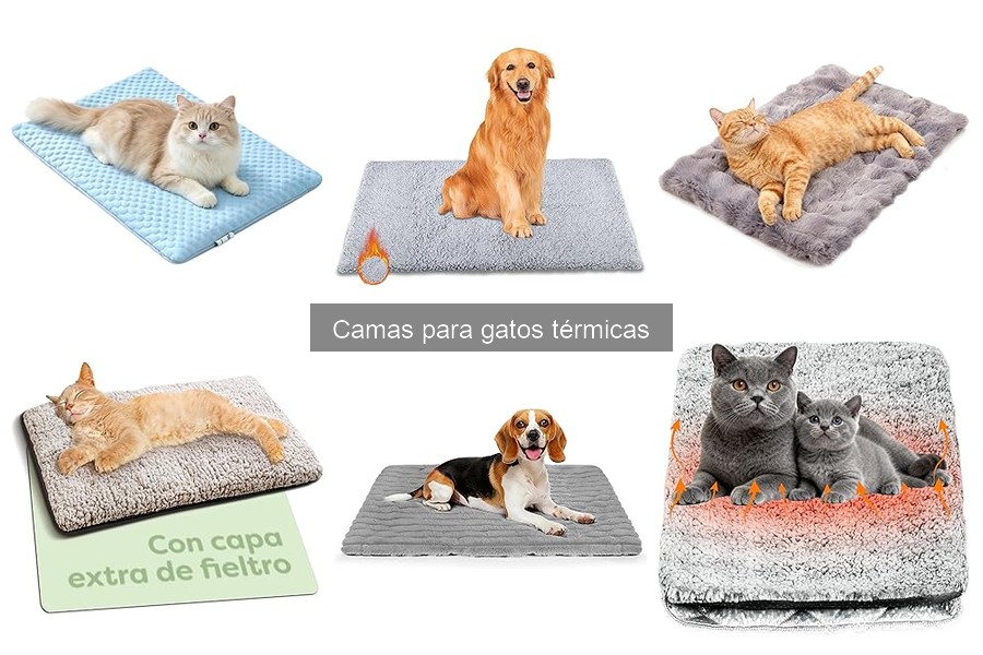 Mejores camas térmicas para gatos en 2023: comparativa