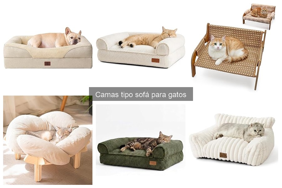 Mejores camas tipo sofá para gatos en 2023