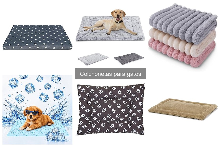 Mejores colchonetas para gatos con problemas articulares