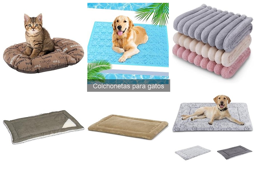 Mejores colchonetas para gatos según tamaño y raza