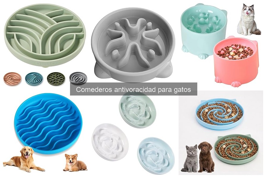 Mejores comederos antivoracidad para gatos en 2023