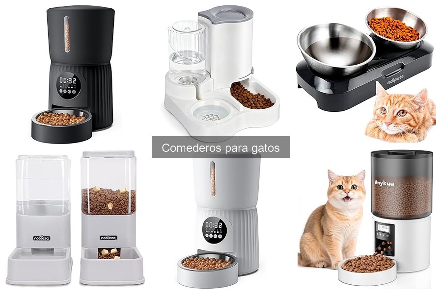 Mejores comederos automáticos para gatos en opiniones de usuarios