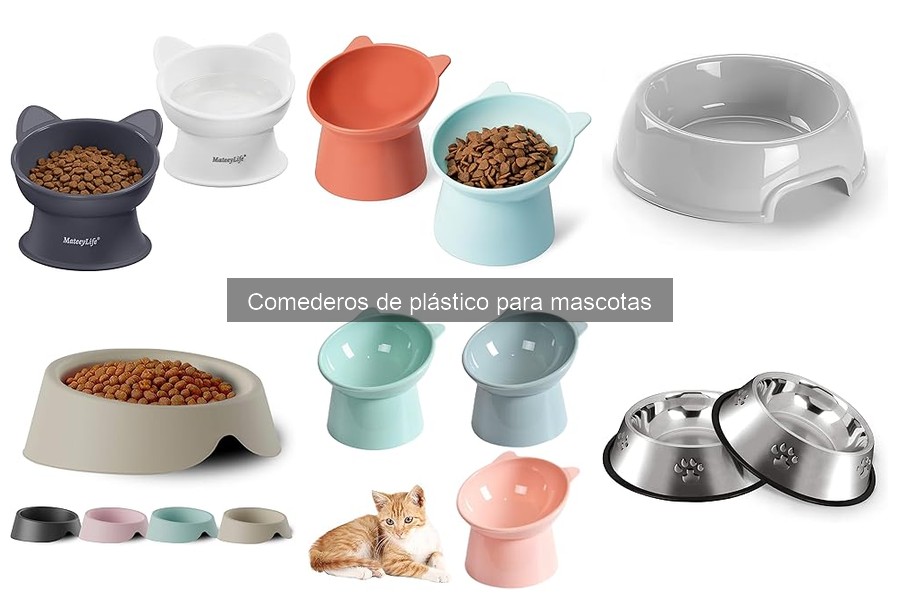 Mejores comederos de plástico para perros pequeños