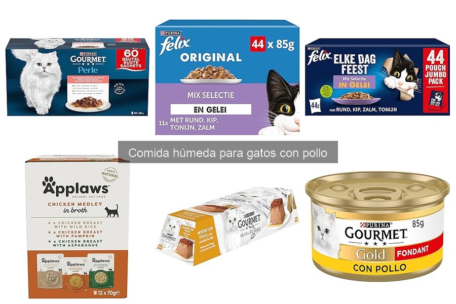 Mejores comidas húmedas con pollo para gatos cachorros