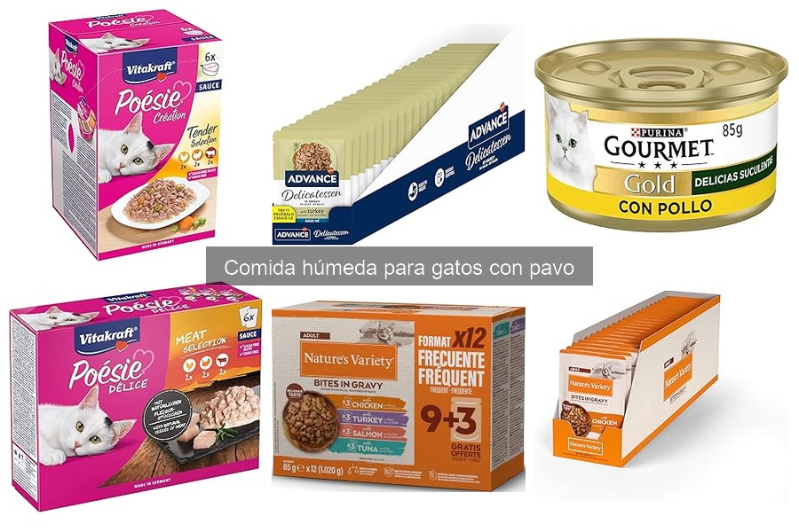 Mejores comidas húmedas para gatos con pavo, según veterinarios