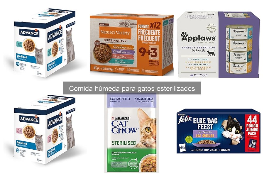 Mejores comidas húmedas para gatos esterilizados según veterinarios