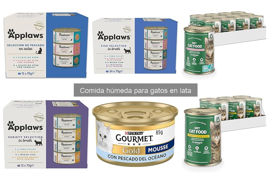 Mejores Comidas Húmedas para Gatos según su Edad