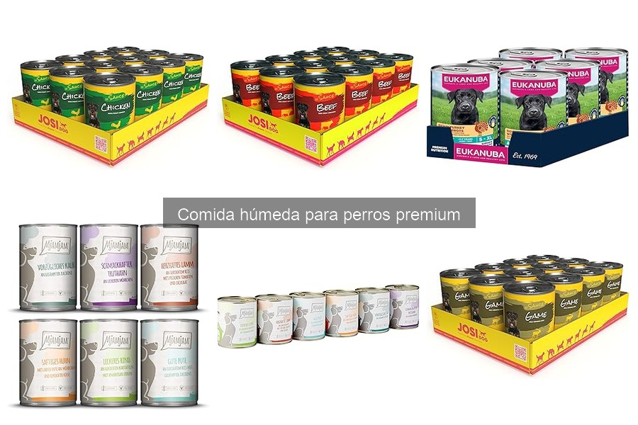 Mejores comidas húmedas para perros con alergias alimentarias