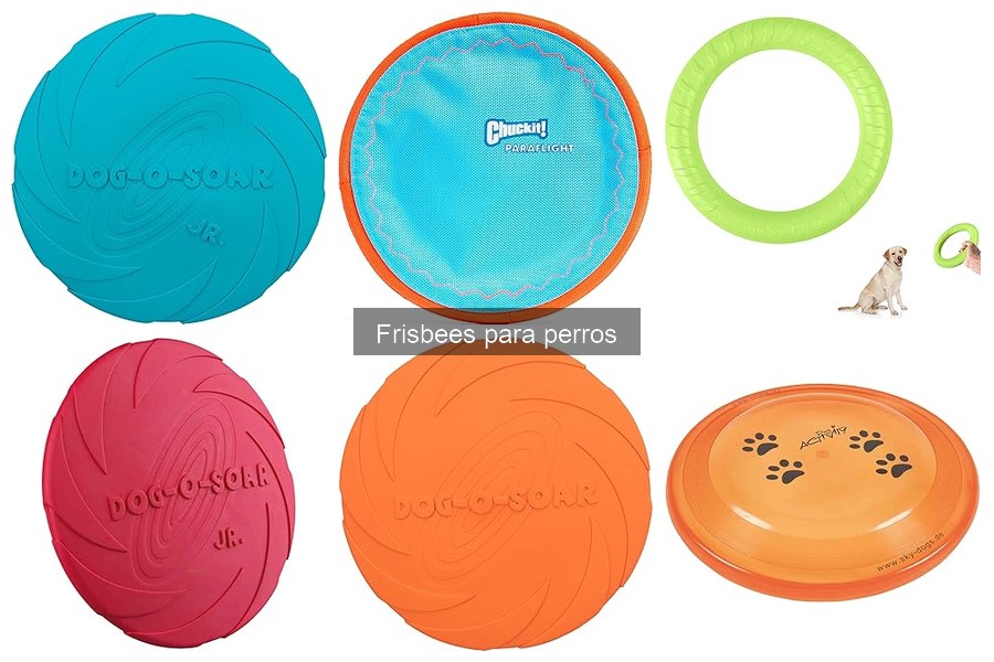 Mejores frisbees para perros agresivos: resistencia y seguridad