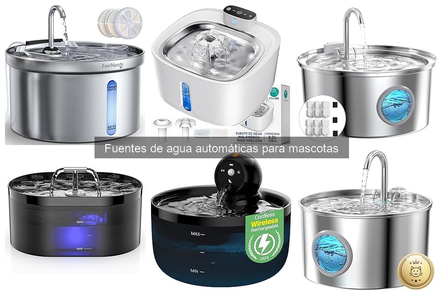 Mejores fuentes de agua automáticas para perros grandes