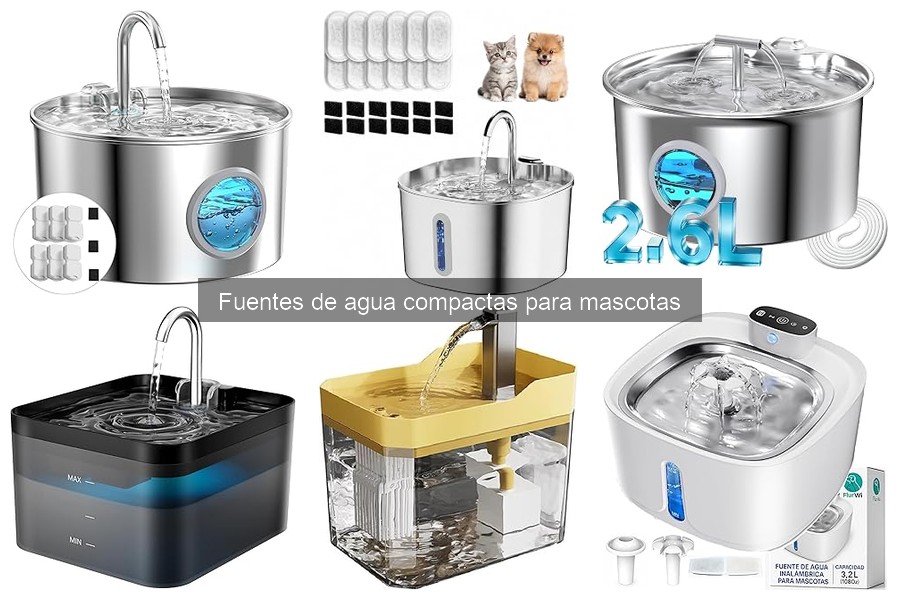 Mejores fuentes de agua compactas para perros en 2023