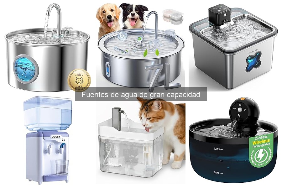 Mejores fuentes de agua de gran capacidad para perros y gatos