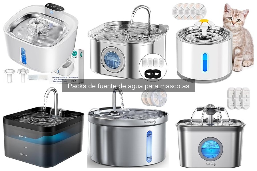 Mejores fuentes de agua para gatos: opiniones y valoraciones