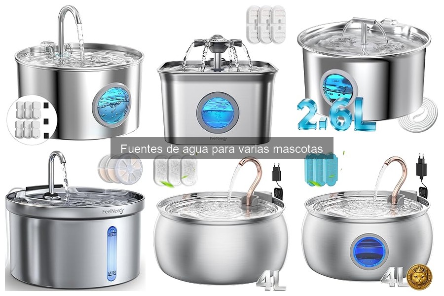 Mejores fuentes de agua para perros y gatos en 2023