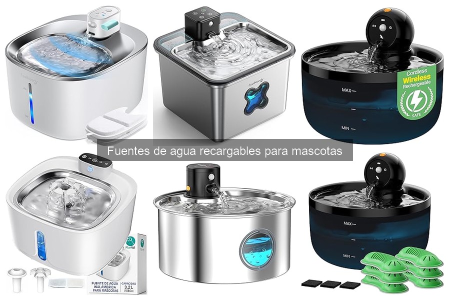 Mejores fuentes de agua recargables para gatos en 2023