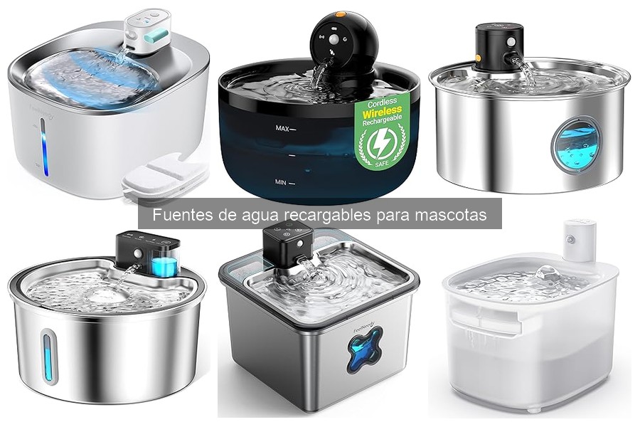 Mejores fuentes de agua recargables para perros en 2023