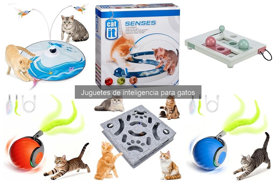 Mejores juguetes de inteligencia para gatos según su edad
