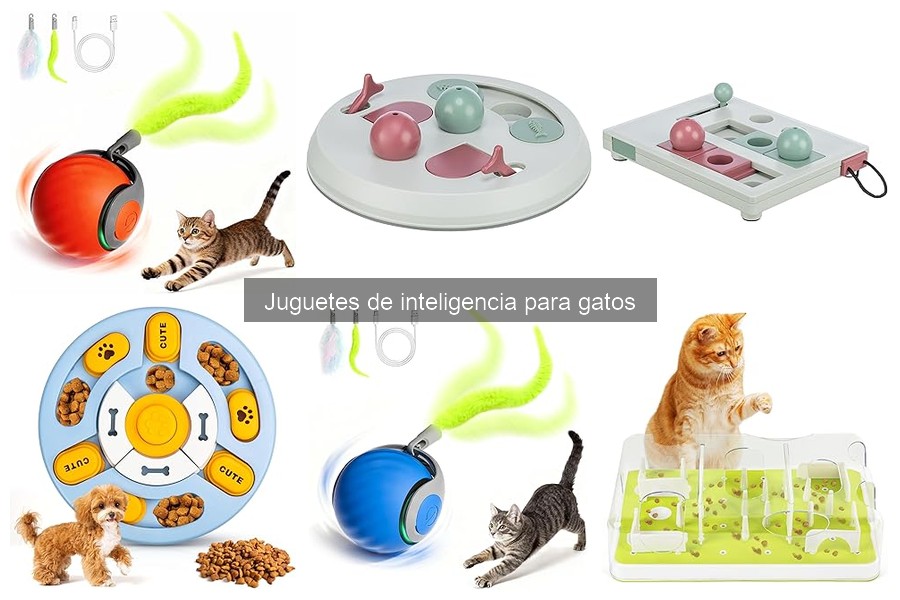 Mejores juguetes de inteligencia para gatos y su impacto
