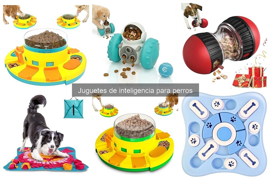Mejores juguetes de inteligencia para perros pequeños 2023