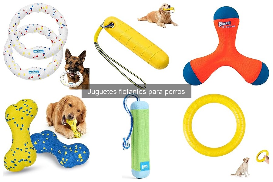Mejores juguetes flotantes para perros: reseñas comparativas