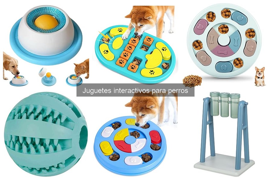 Mejores juguetes interactivos para perros pequeños: comparativa