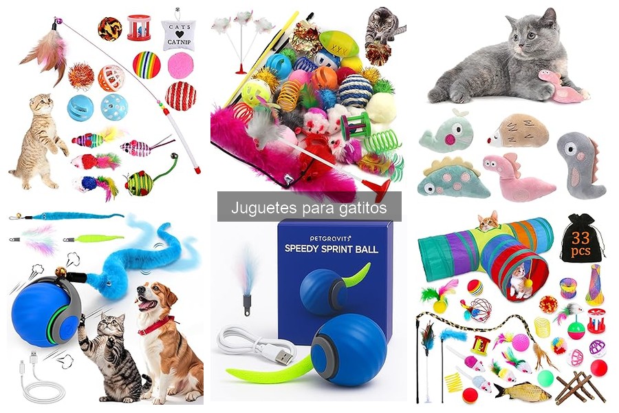 Mejores juguetes para gatitos: seguros y divertidos