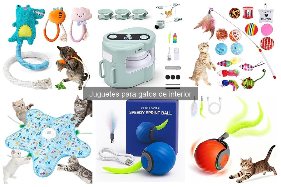 Mejores juguetes para gatos de interior: comparativa 2023