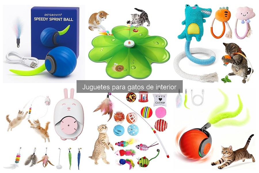Mejores juguetes para gatos que no rasguñan muebles